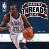 12-13 Panini Threads